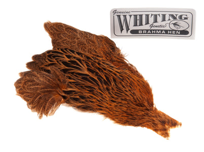 Du tilføjede <b><u>Whiting Brahma - Golden Brown</u></b> til kurven.