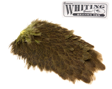 Du tilføjede <b><u>Whiting Brahma Saddle - Olive</u></b> til kurven.