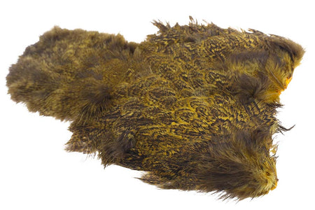 Du tilføjede <b><u>Whiting Coq de leon Hen Soft hackle with Chicabou - Speckled Golden Olive</u></b> til kurven.