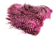 Whiting Rooster Softhackle W Chickabou SH/C - Grizzly Pink