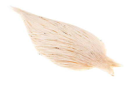 Du tilføjede <b><u>(Pro Grade) Whiting Red Label Dryfly - White</u></b> til kurven.
