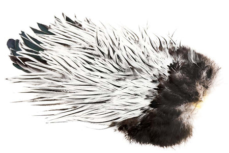 Du tilføjede <b><u>Whiting American Rooster Saddle - Silver Badger</u></b> til kurven.