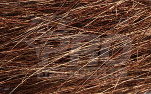 Angel Hair - Dark Brown