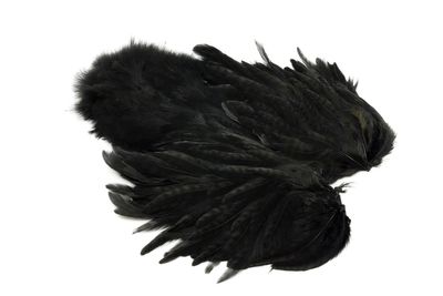 Du tilføjede <b><u>Whiting Rooster Softhackle W Chickabou SH/C - Black</u></b> til kurven.
