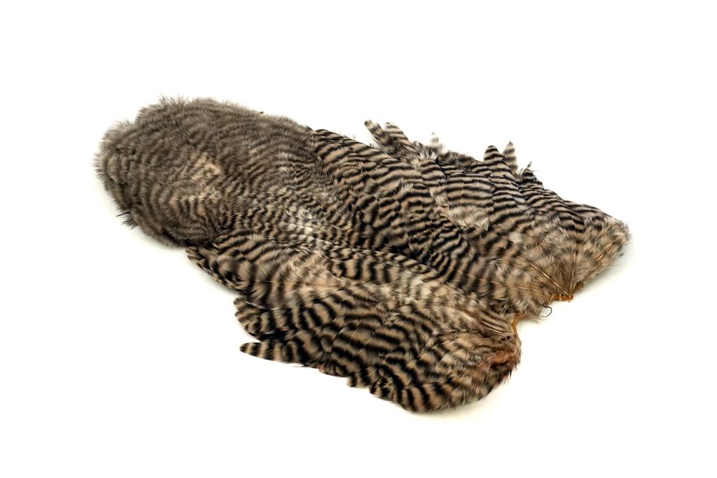 Whiting Rooster Softhackle W Chickabou SH/C - Grizzly Tan