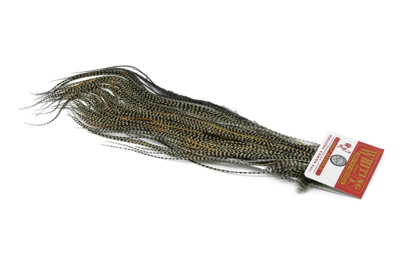 Whiting Silver 1/2 Saddle â€“ dealerweb-cms-0db28fcc-fdf5-43d4-b2e2-94e9ec51b57d.jpg