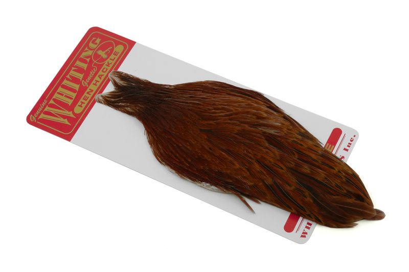 Whiting Hen Cape â€“ dealerweb-cms-14b09390-8772-47f6-8b53-9cccfb08cd7d.jpg