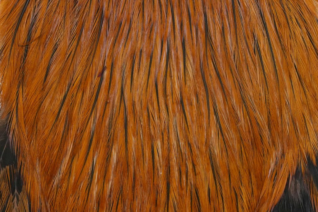 Whiting American Rooster Cape - Badger Brown