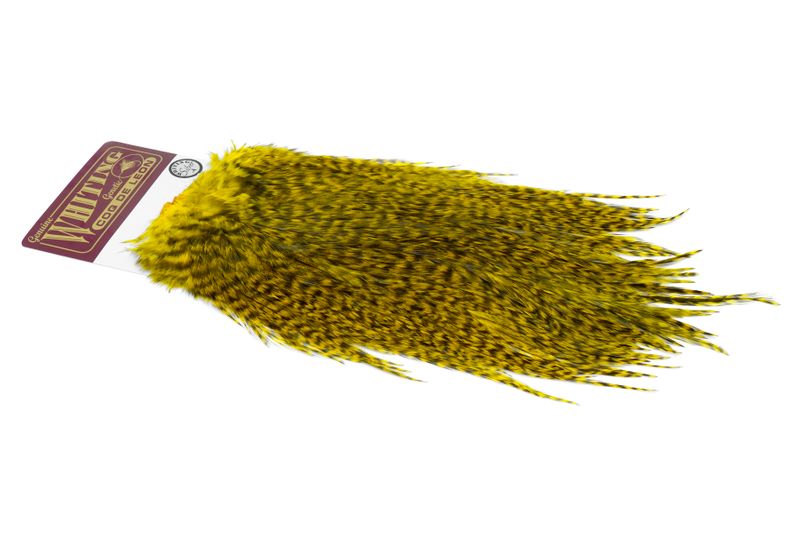 Whiting Coq de Leon Rooster Saddle – Silver â€“ dealerweb-cms-35374d4d-ff2a-4bfc-a4b4-2cefce5287d9.jpg