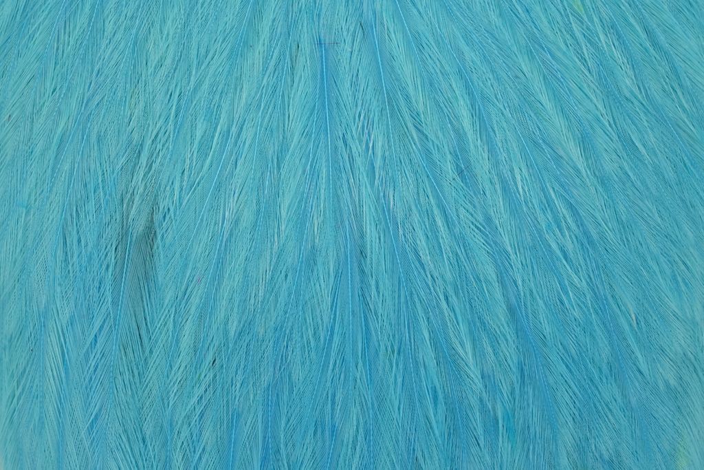 Whiting American Rooster Cape - Silver Doctor Blue