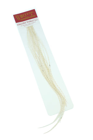 Whiting 100 Pack - White Perfekt til flatwing tobis