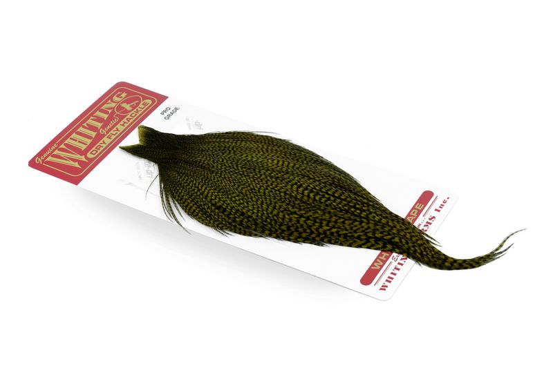 Whiting Rooster Cape – Bronze â€“ dealerweb-cms-6486a738-49c0-4860-a5c1-aa6b27db3397.jpg