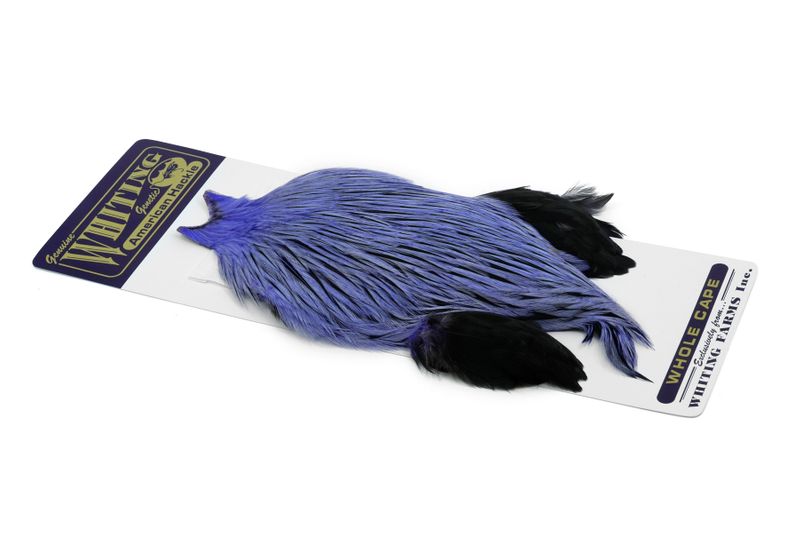 Whiting American Rooster Cape â€“ dealerweb-cms-81c0dff6-c39b-46dc-8dcb-5c3295247867.jpg