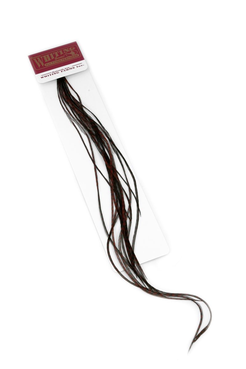 Whiting 100-pk – Size 18 â€“ dealerweb-cms-8ee0df0b-a1c0-4902-9d3e-feae69bfe002.jpg