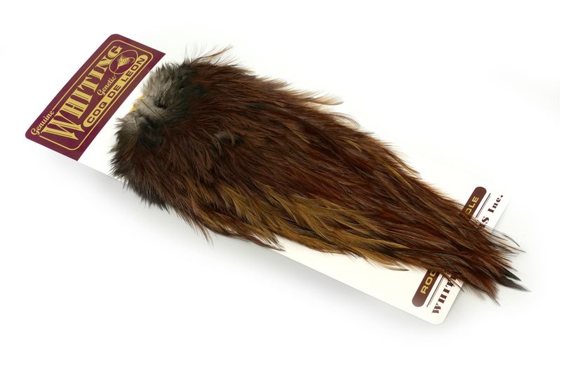 Whiting Coq de Leon Rooster Saddle – Bronze â€“ dealerweb-cms-9954ec8c-8ab5-4789-9e40-e61903cbff97.jpg
