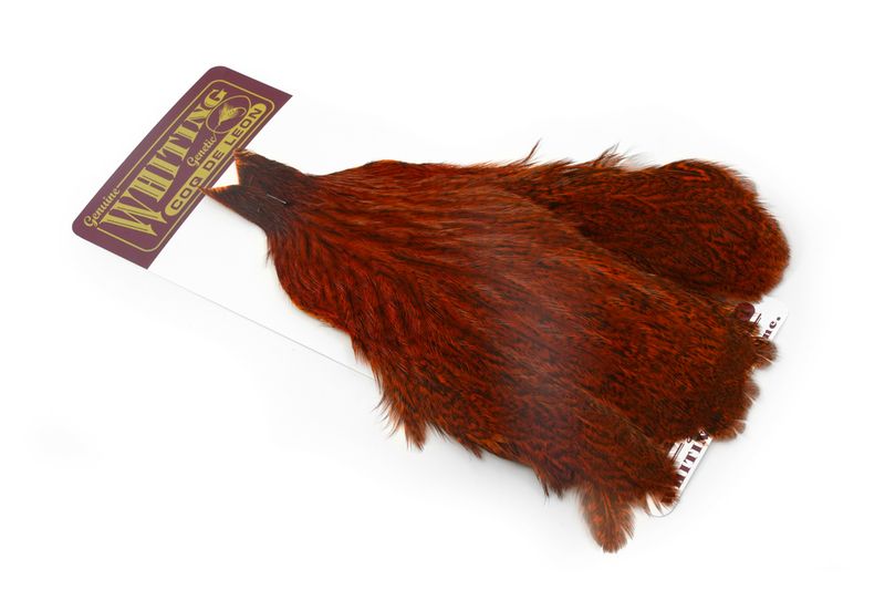 Whiting Coq de Leon Hen Cape â€“ dealerweb-cms-b77aed55-6572-41a6-bddc-2f62cce3d27c.jpg