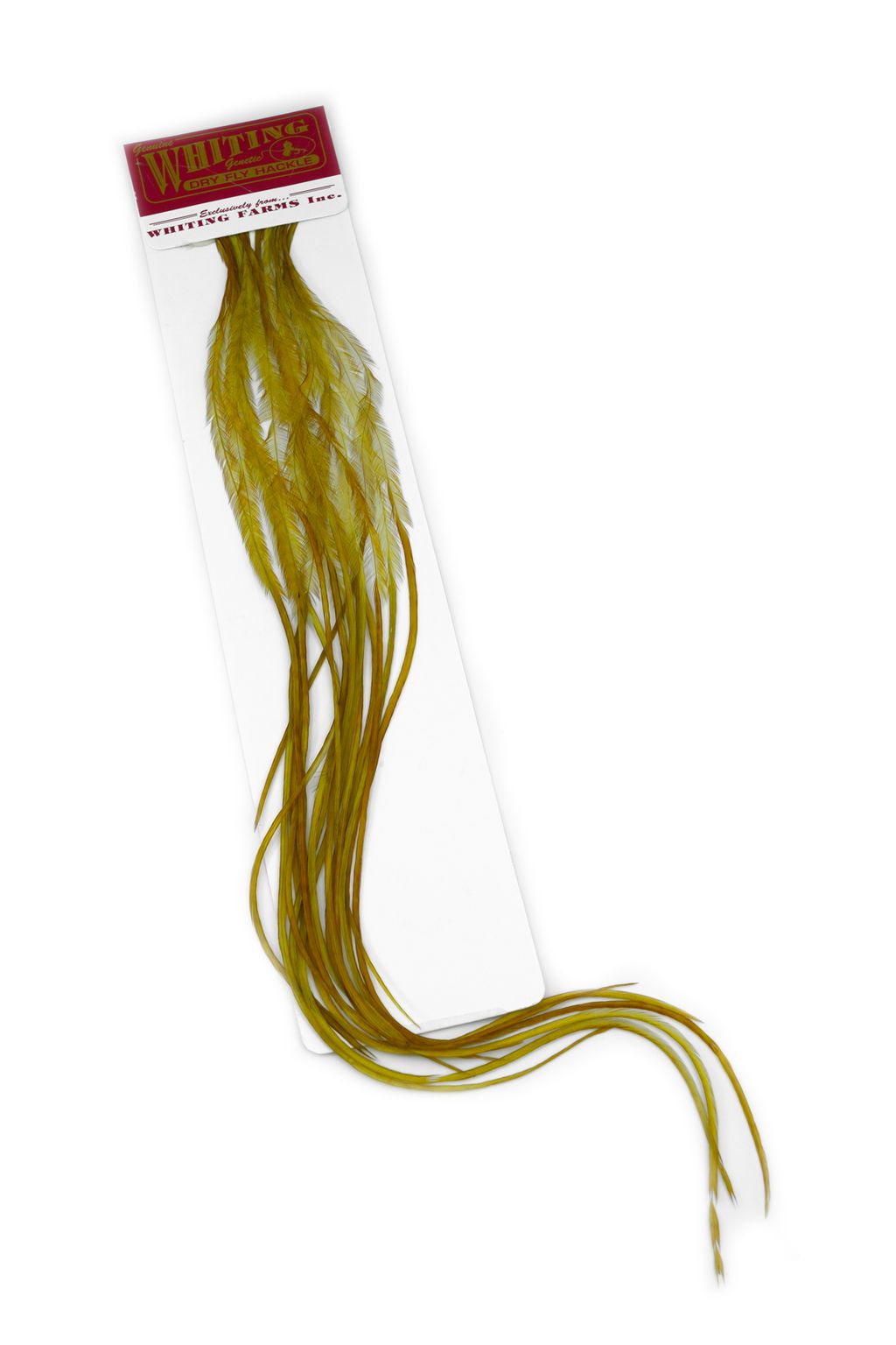 Whiting 100 Pack - Golden Olive Perfekt til flatwing tobis (Copy)
