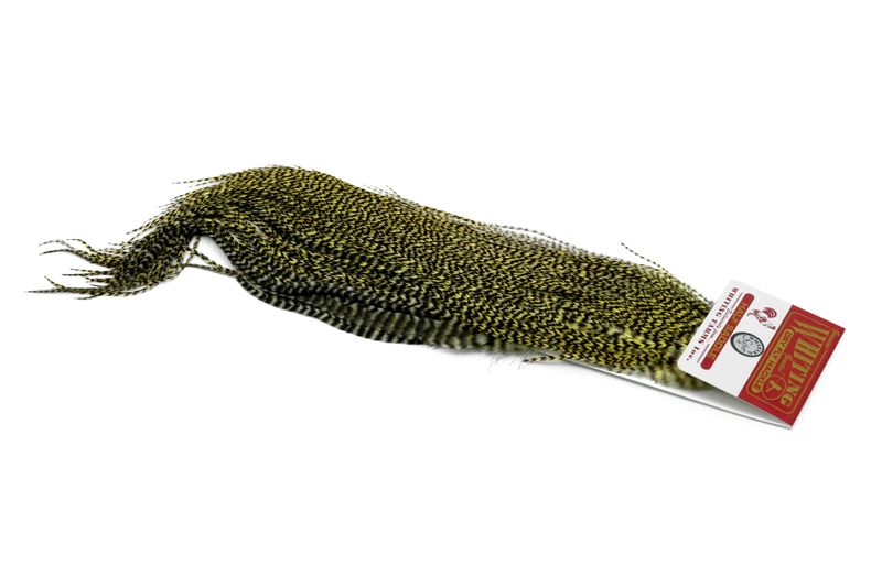 Whiting Silver 1/2 Saddle â€“ dealerweb-cms-bfcfaeae-6eb4-4822-8b11-cebe0e3421dd.jpg