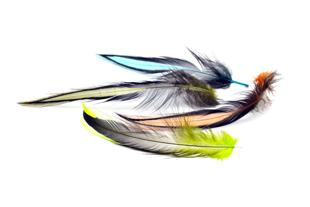 Whiting American Rooster Cape - BLW dyed Orange