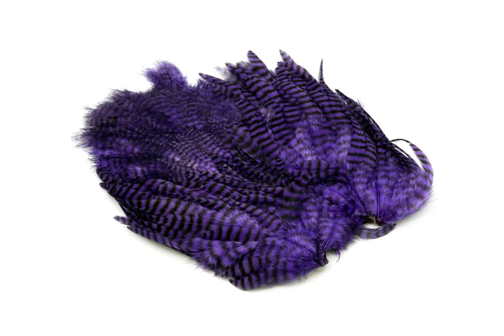 Whiting Rooster Softhackle W Chickabou SH/C Grizzly Purple