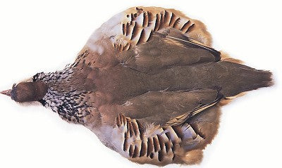 Du tilføjede <b><u>French Partridge Natural - Complete</u></b> til kurven.