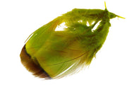 French Partridge - Olive