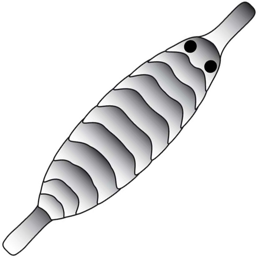 Pro Gammarus skjold - Black