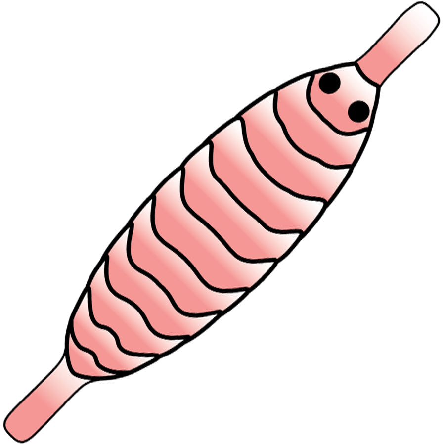 Pro Gammarus skjold - Shell Pink