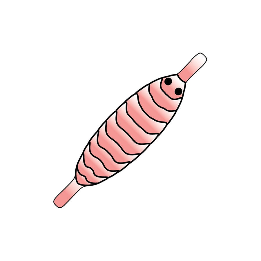 Pro Gammarus skjold - Shell Pink