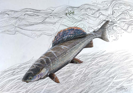 Du tilføjede <b><u>Thomas Weiergang original A3 - Greyling</u></b> til kurven.