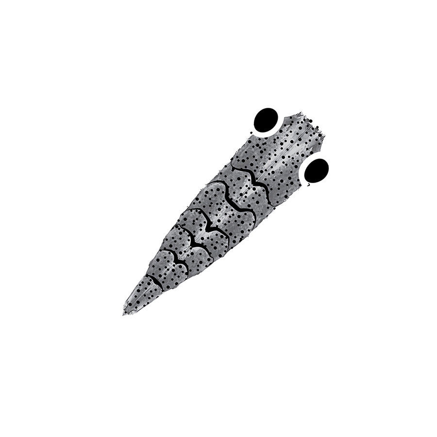 Pro GEN2 Shrimp shell - Clear Grey