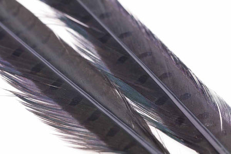 Du tilføjede <b><u>Ringneck Pheasant tail 1 Pair - Dun</u></b> til kurven.