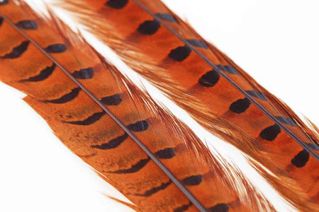 Du tilføjede <b><u>Ringneck Pheasant Tail 1 Pair - Orange</u></b> til kurven.