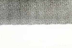 Thin Skin Fly Specks - Clear/ Black
