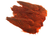 Perlehøne Hel fugl - Orange