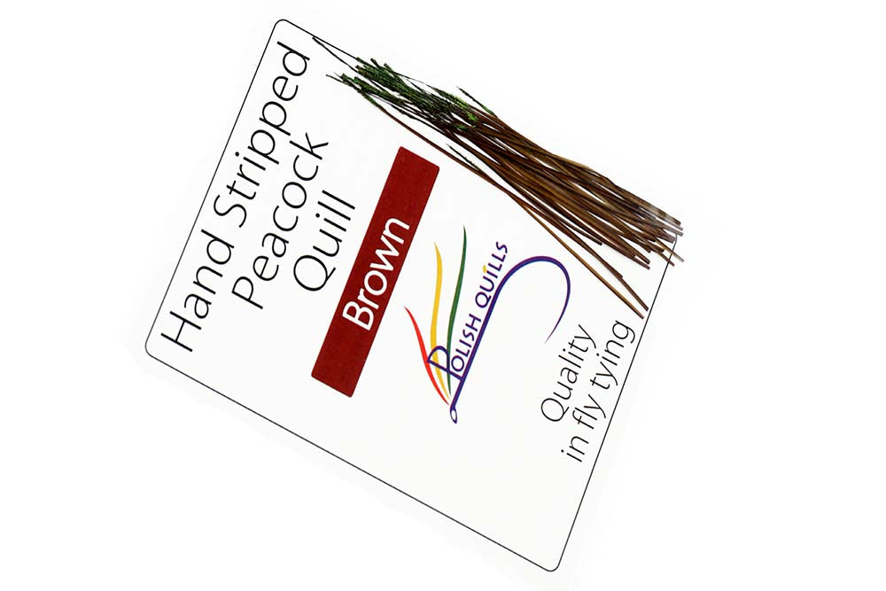 Hand Stripped Peacock Quill - Ginger