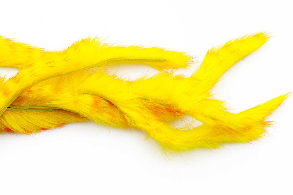 3 mm Rabbit Barred Zonkerstrip - Orange On Yellow