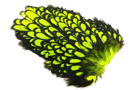 Du tilføjede <b><u>Whiting American Hen Saddle Black Laced - Fl. Yellow Chartreuse</u></b> til kurven.