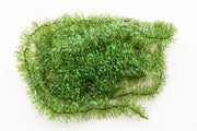 Krystal Chenille - Olive