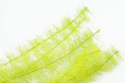Streamer Brush 1/2" (1,3 mm) - Electric Yellow