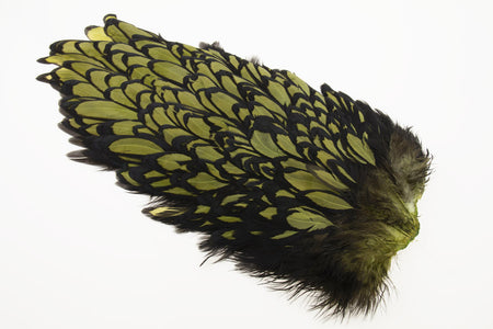 Du tilføjede <b><u>Whiting American Hen Saddle Black Laced - Olive</u></b> til kurven.