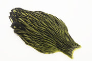 Whiting American Hen Cape Black Laced -  Olive