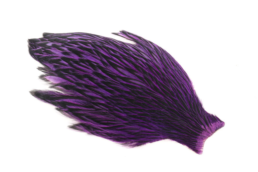 Whiting American Hen Cape Black Laced -  Purple