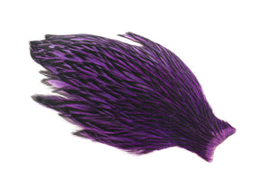 Whiting American Hen Cape Black Laced -  Purple