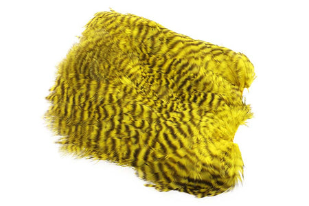 Du tilføjede <b><u>Soft Hackle Patch Grizzly - Golden Olive</u></b> til kurven.