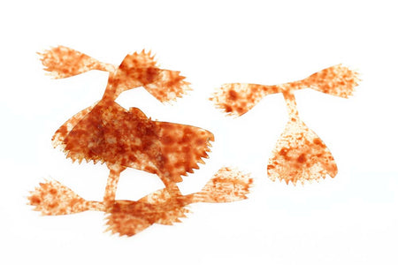Du tilføjede <b><u>Kiley's Fish Finz - Mottled Rust</u></b> til kurven.