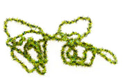 Crystal Braid - Olive-Black