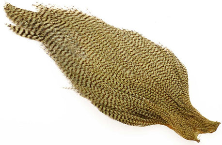 Du tilføjede <b><u>Ewing #1 Cape Bleached Olive</u></b> til kurven.