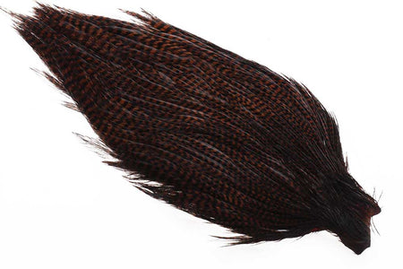 Du tilføjede <b><u>Ewing #1 Grizzly Cape Co. Brown</u></b> til kurven.