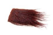 Vildsvinebørster (Boar bristle) - Phatakorva